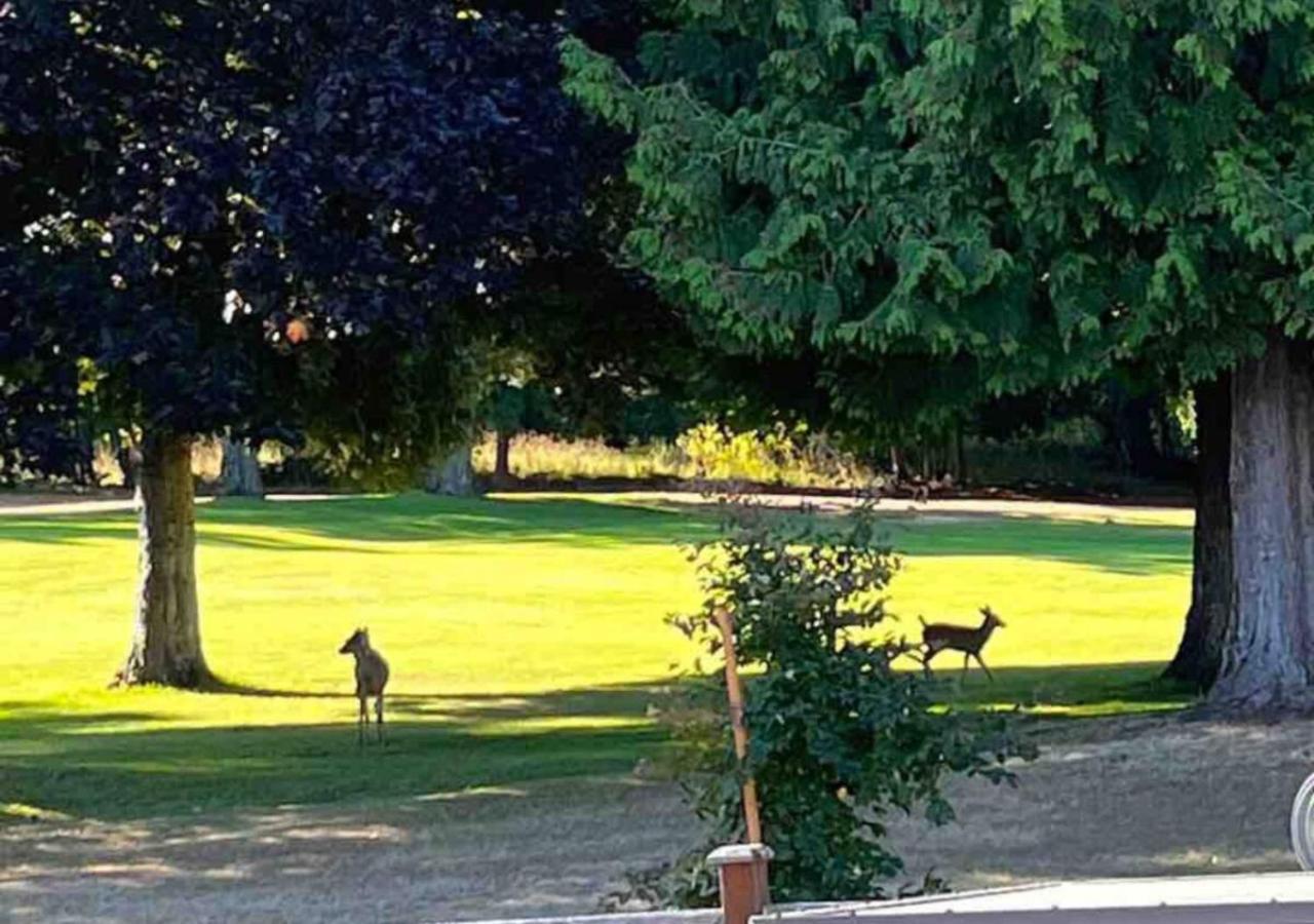 Oceanside Manor - Golf Course View Bed & Breakfast Qualicum Beach Luaran gambar